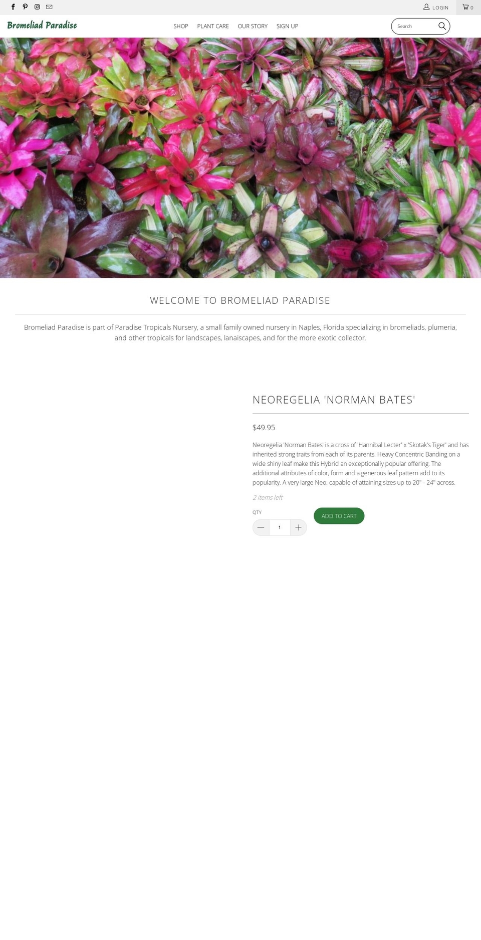 bromeliadparadise.com shopify website screenshot