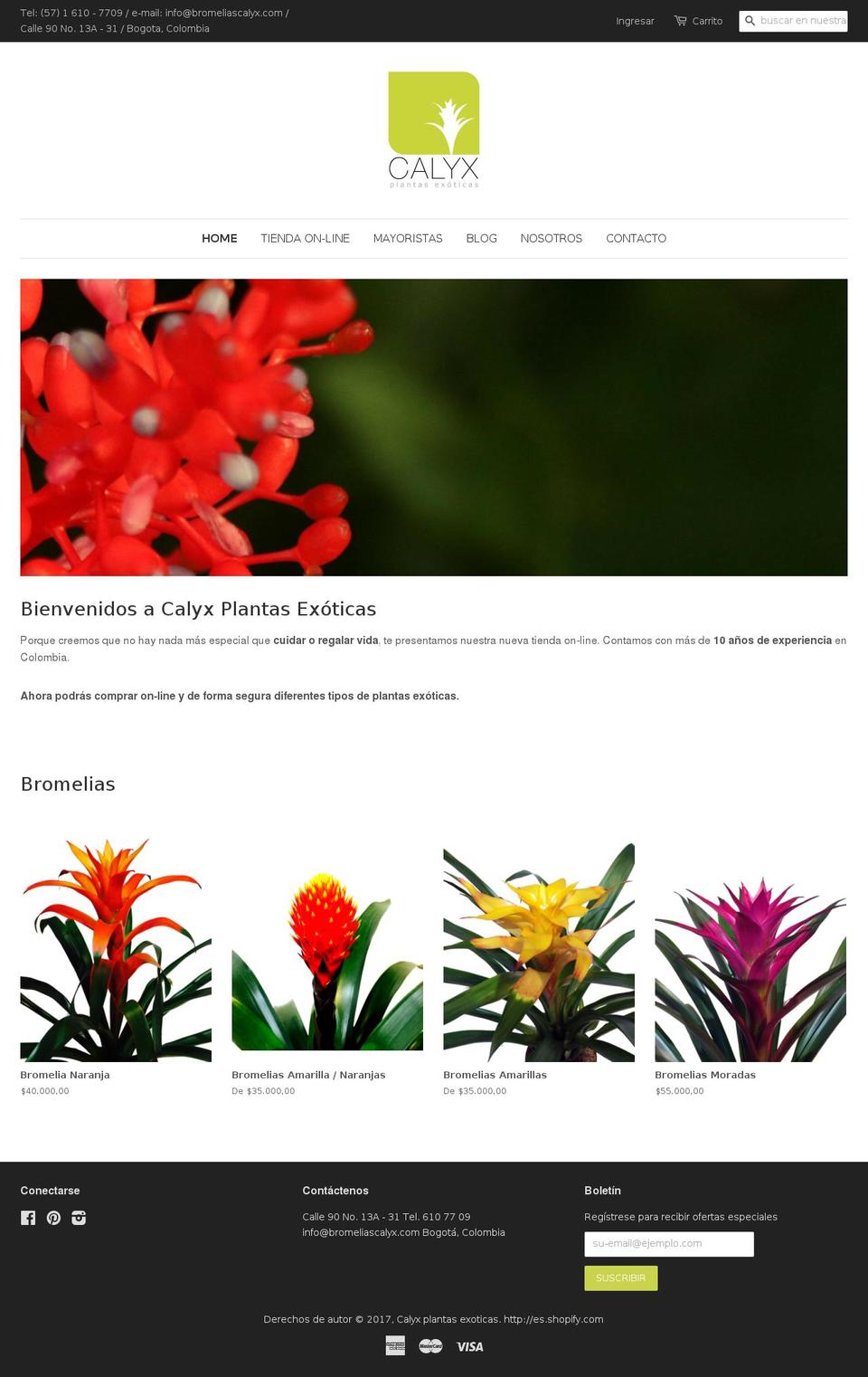 bromeliascalyx.com shopify website screenshot