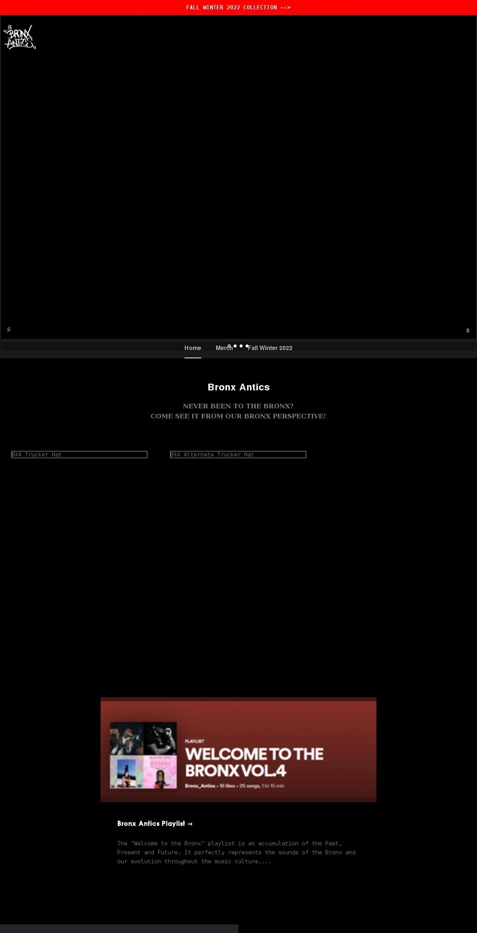 bronxantics.com shopify website screenshot