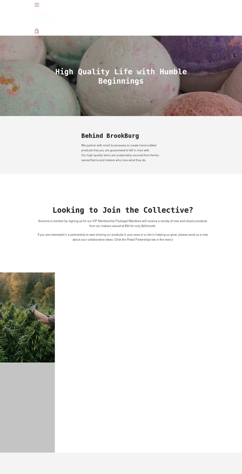 brookburgco.com shopify website screenshot