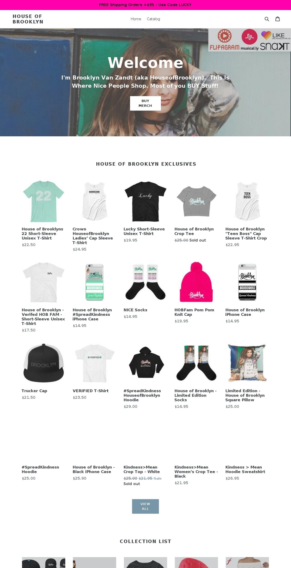 brooklynvanzandt.com — Shopify storefront screenshot