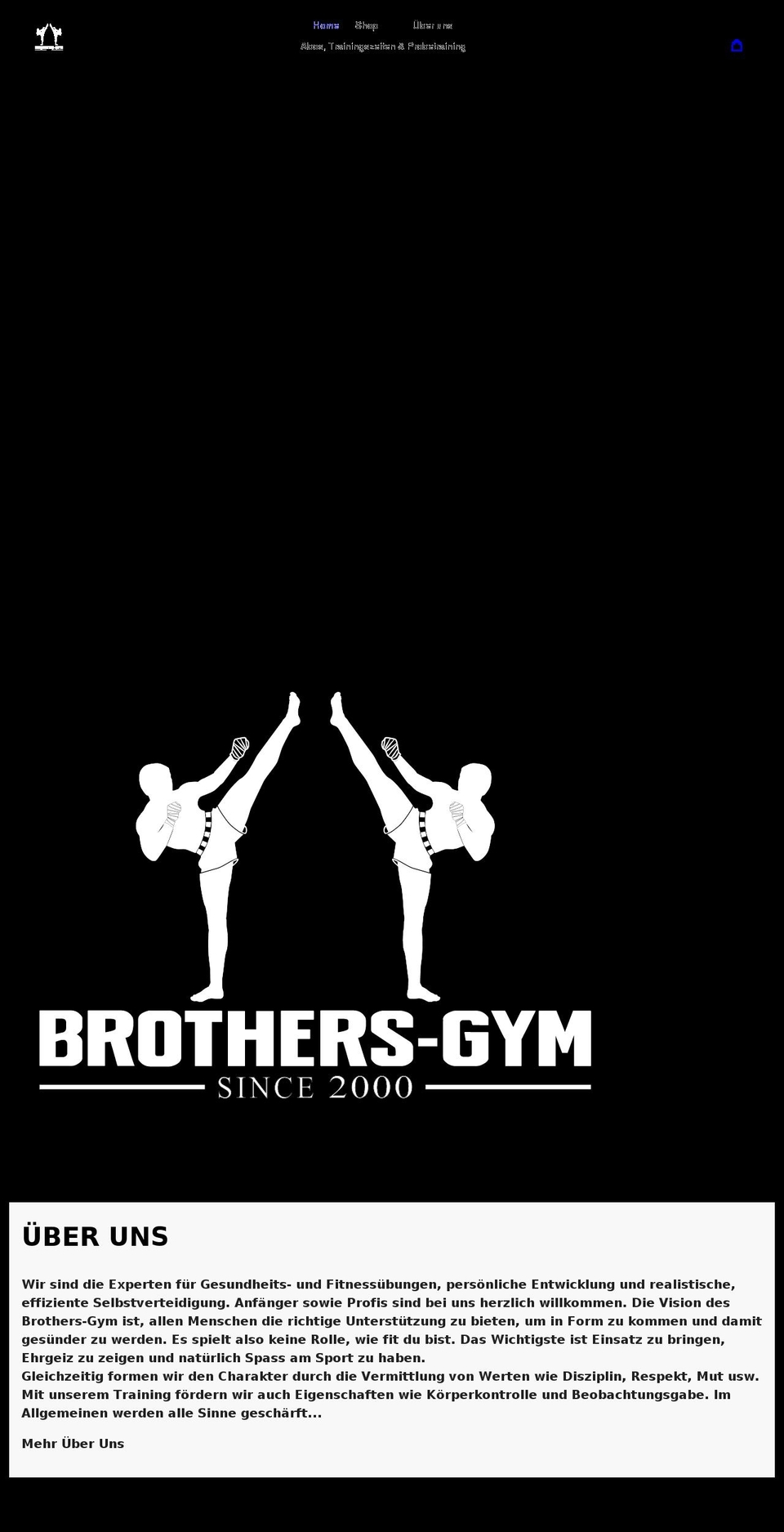 brothers-gym.ch shopify website screenshot