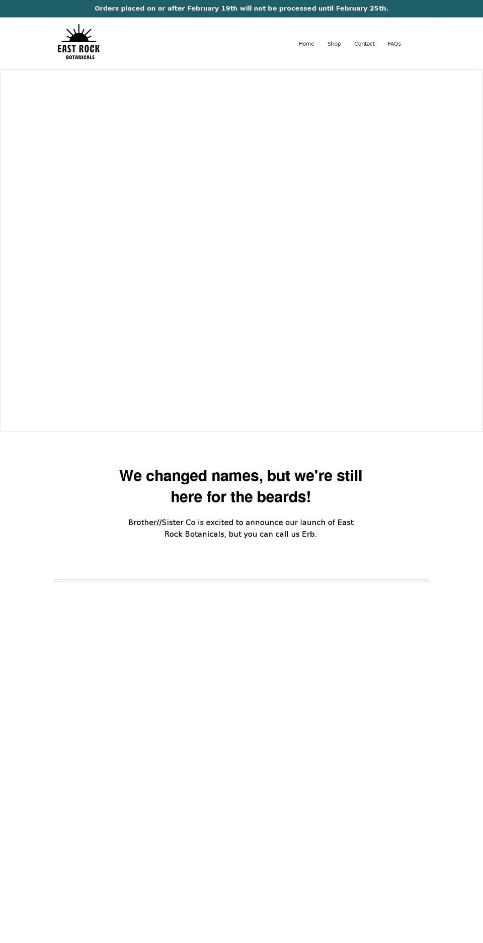 brothersisterco.com — Shopify storefront screenshot