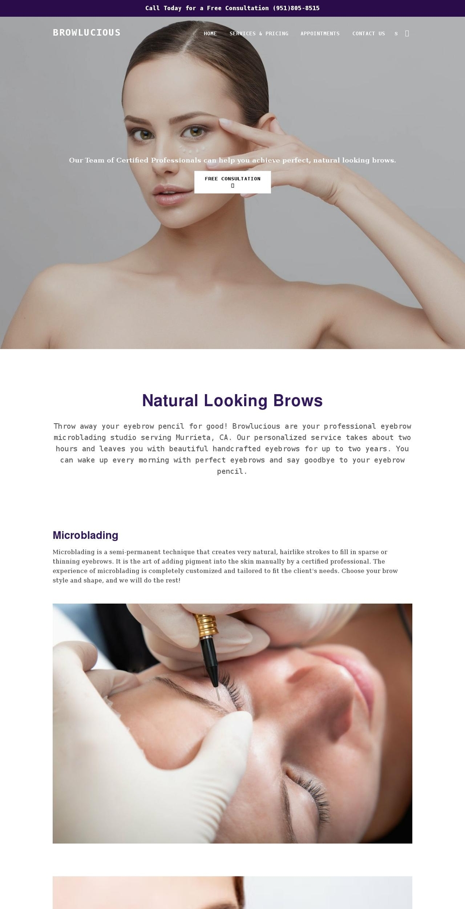 browlucious.com — Shopify storefront screenshot