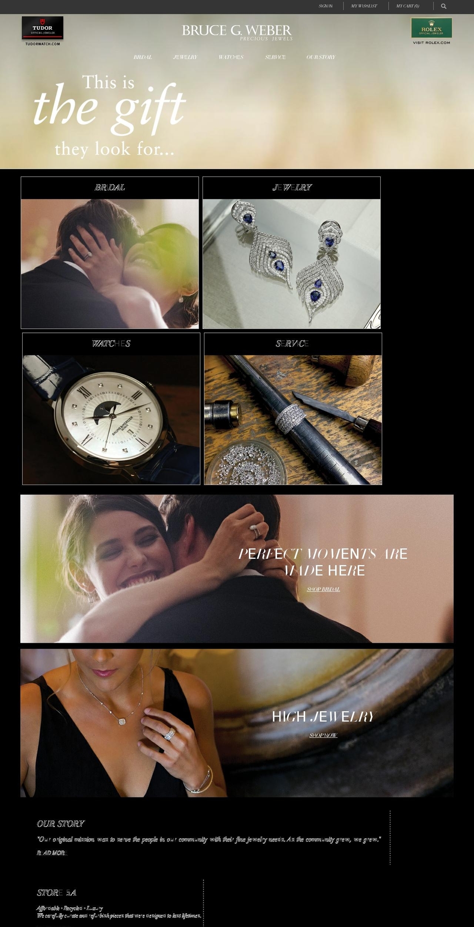 brucegweber.com shopify website screenshot