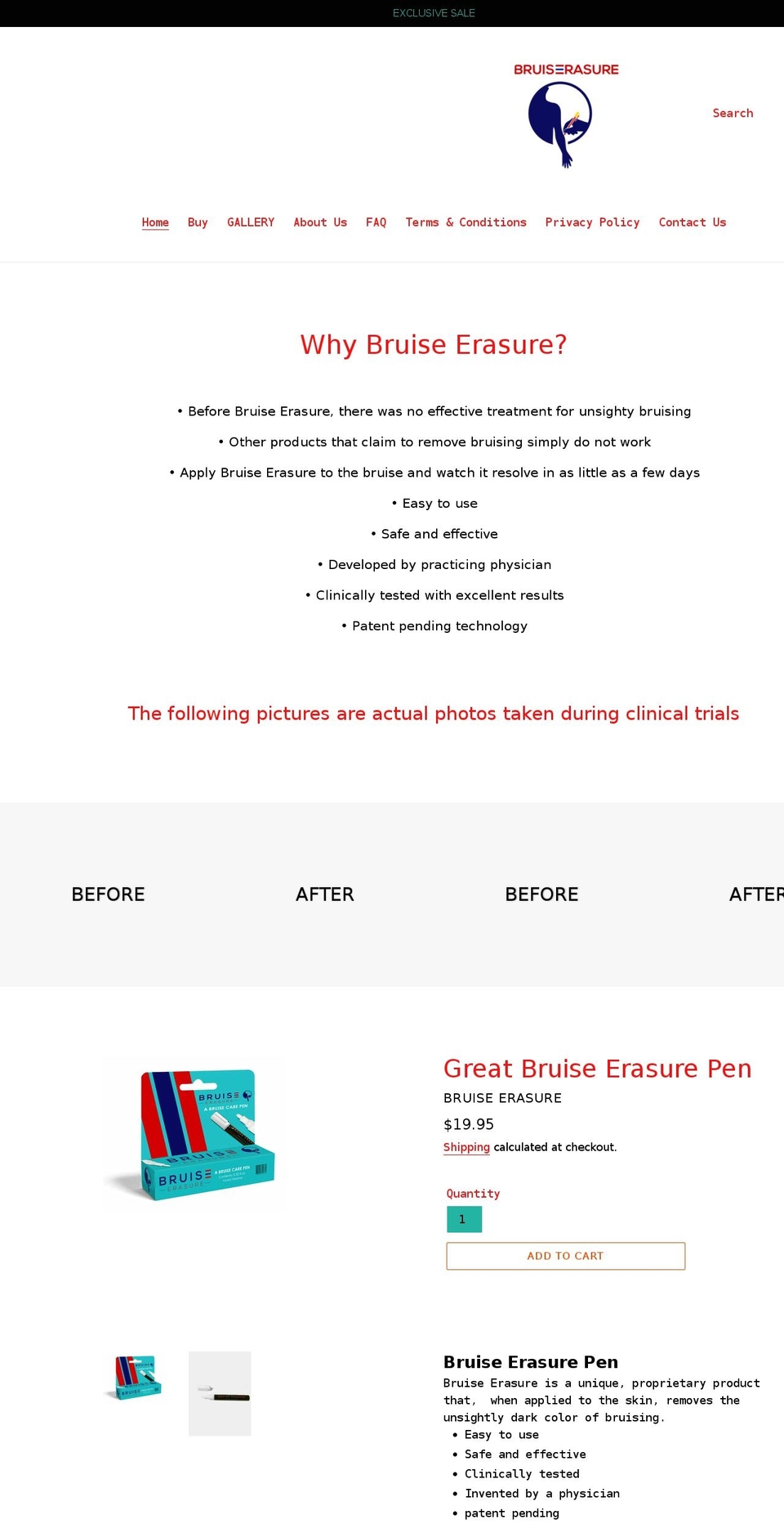 bruiseerasure.com shopify website screenshot