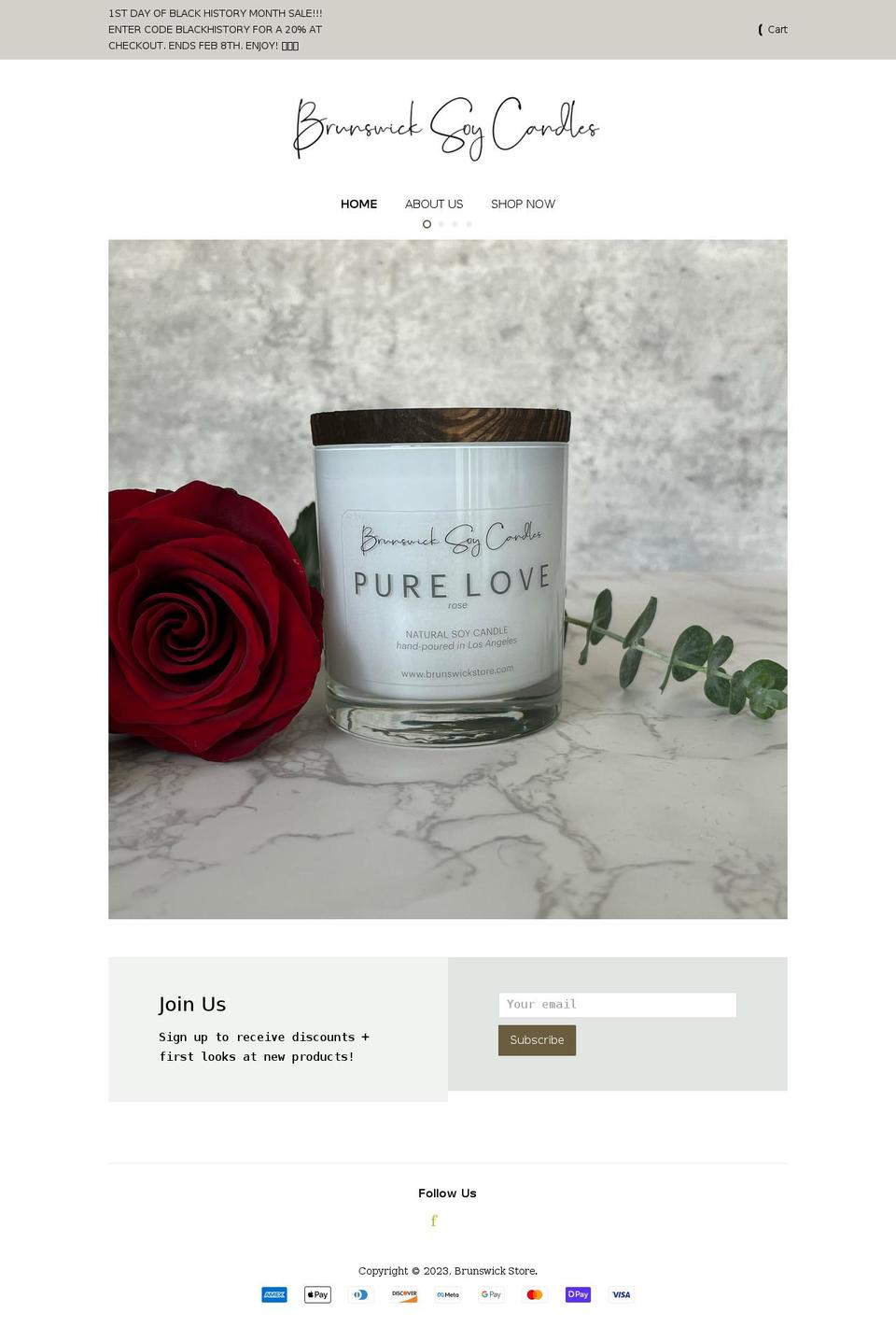 brunswickstore.com shopify website screenshot