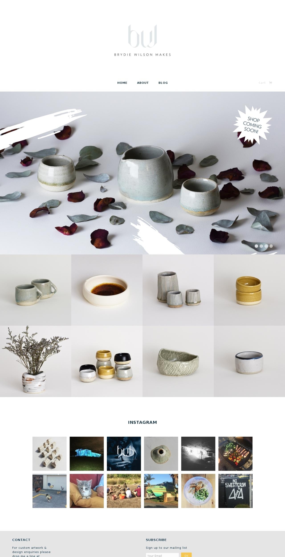 brydiewilson.com shopify website screenshot