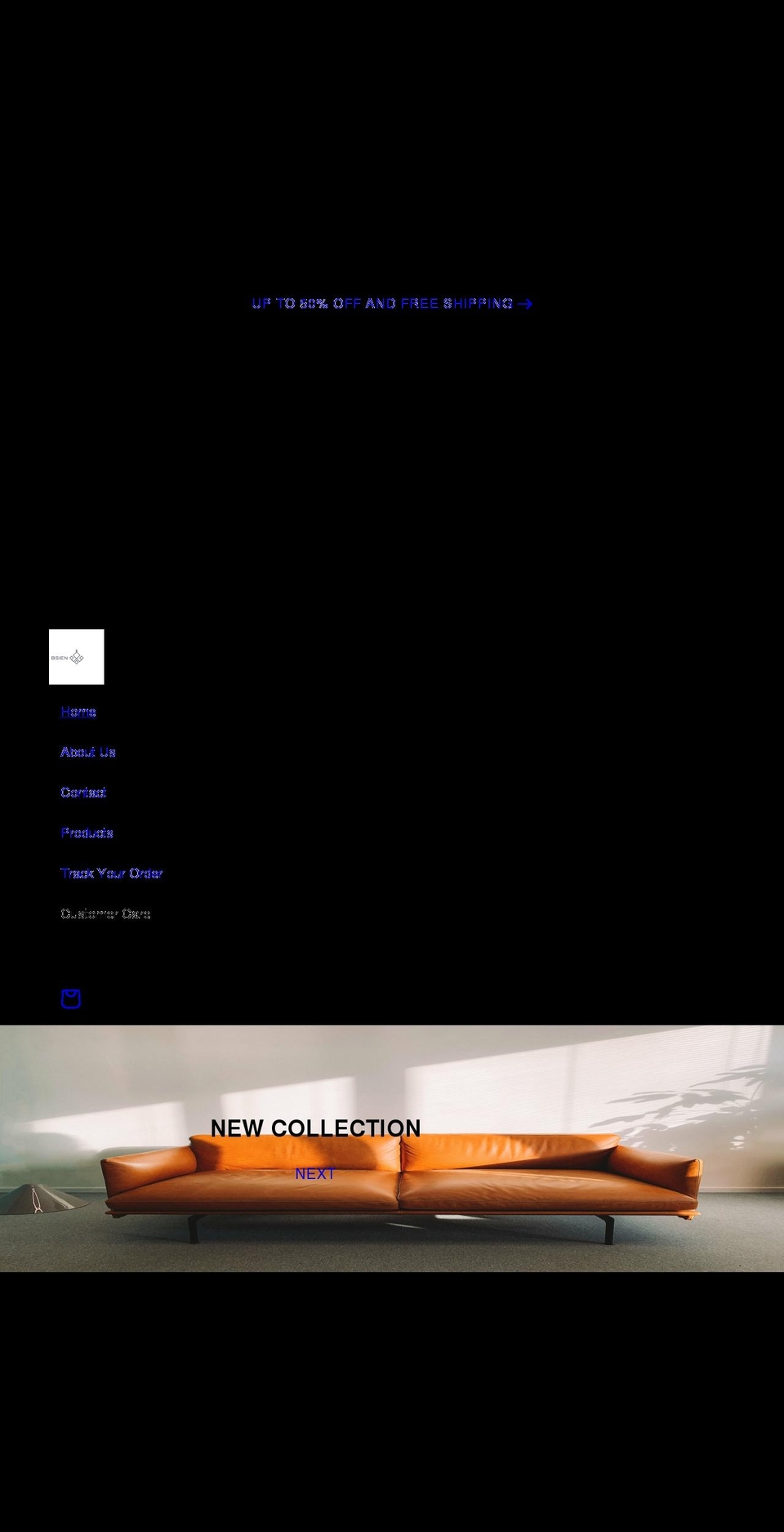bsien.com shopify website screenshot