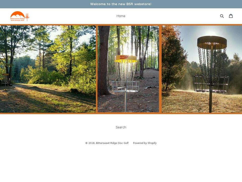 bsrdiscgolf.com — Shopify storefront screenshot