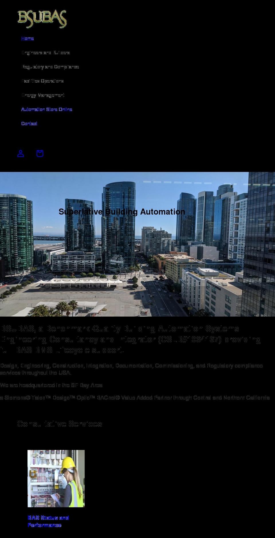 bsubas.com shopify website screenshot
