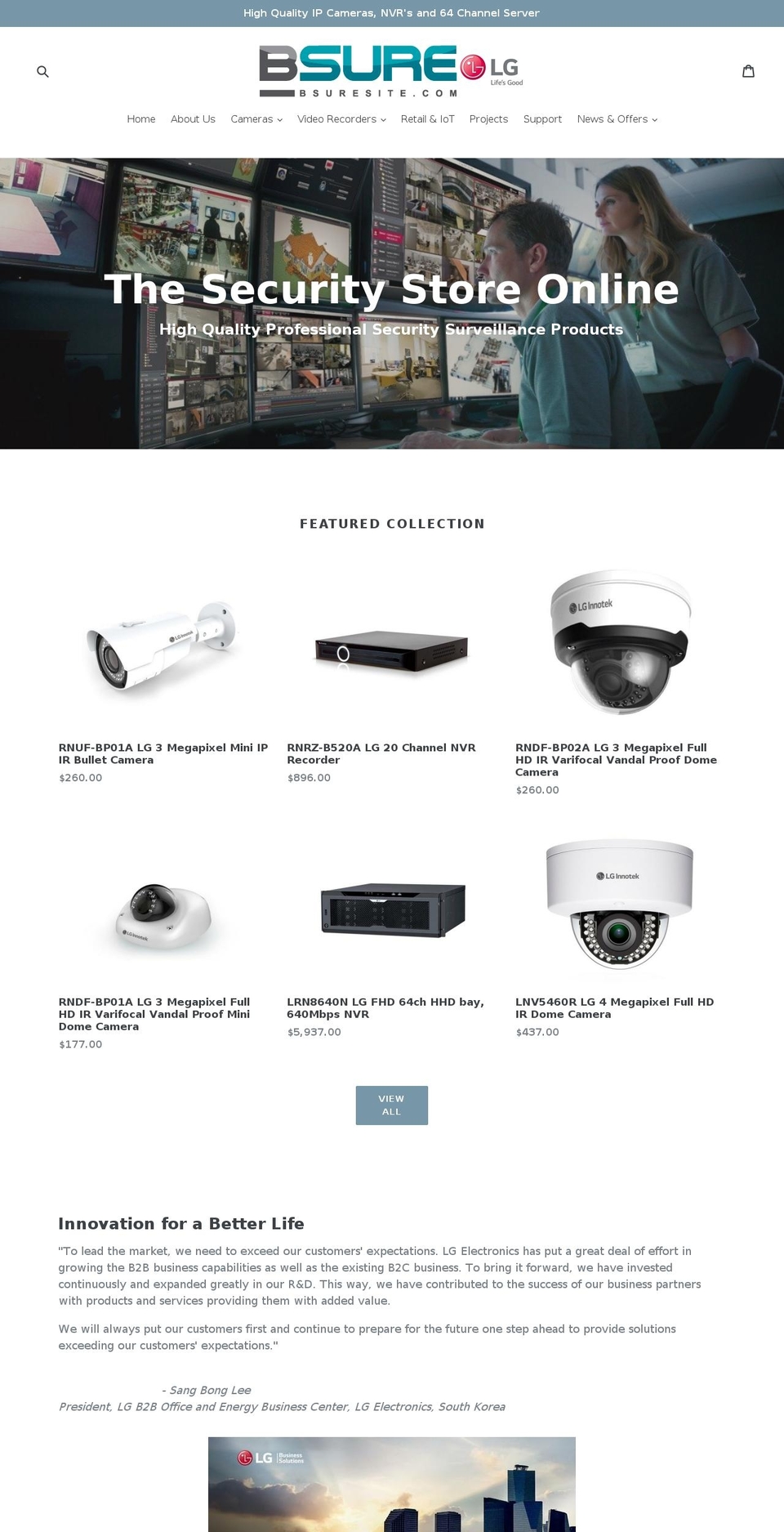 bsuresite.com — Shopify storefront screenshot