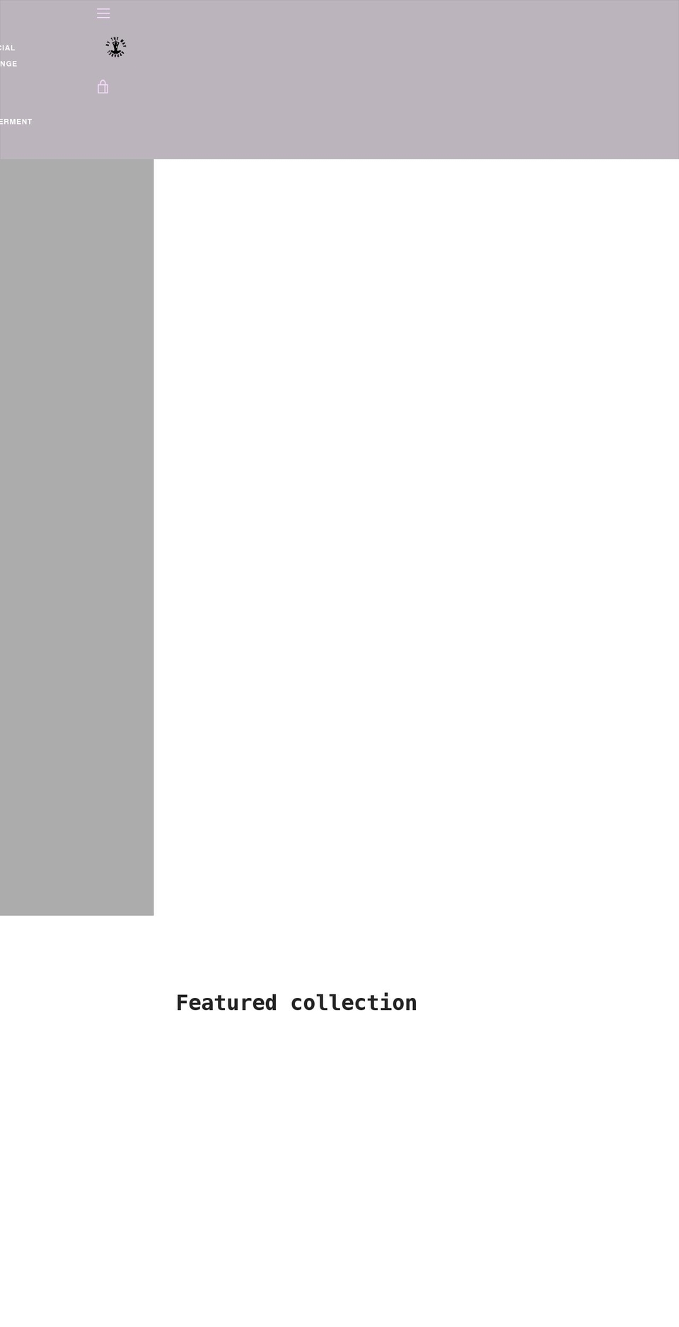 btwapparel.com shopify website screenshot