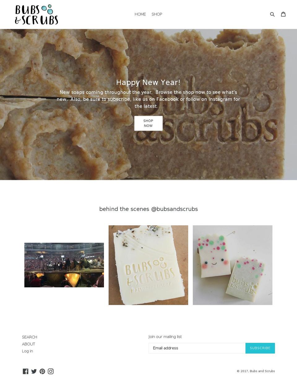 bubsandscrubs.com shopify website screenshot
