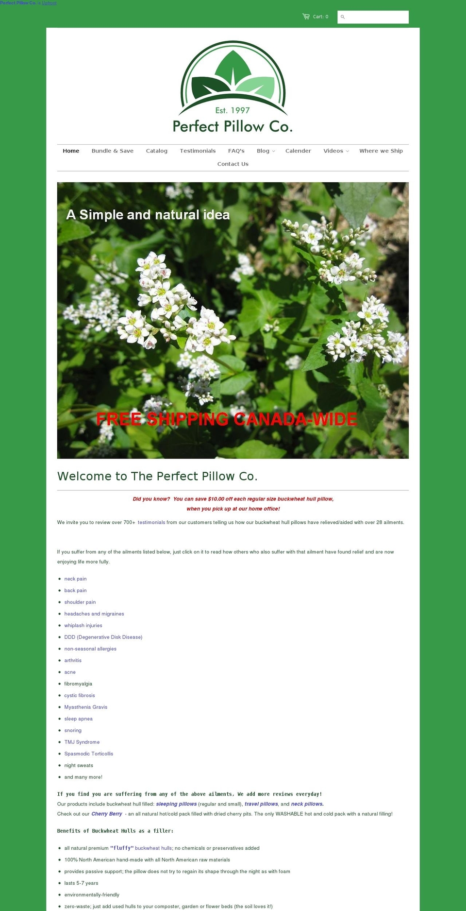02\/09\/2015 PP site Shopify theme site example buckwheatpillowusa.com