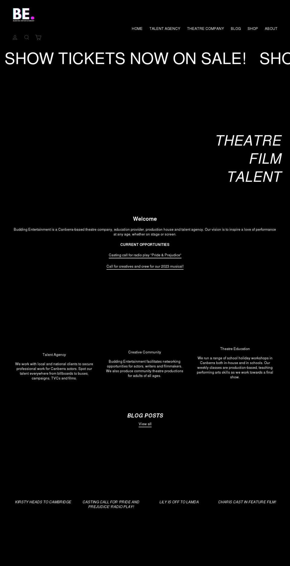 buddingentertainment.com shopify website screenshot