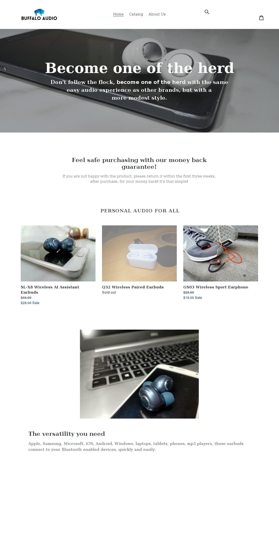 buffalo-audio.com shopify website screenshot