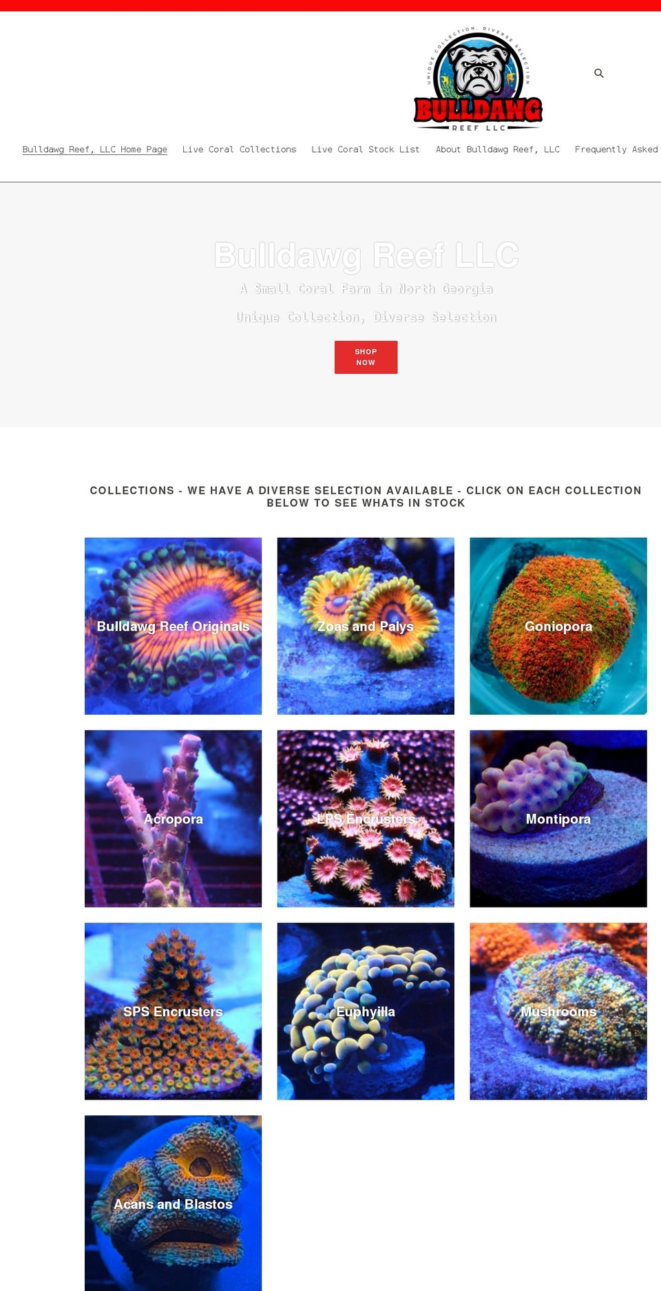 bulldawgreef.com shopify website screenshot