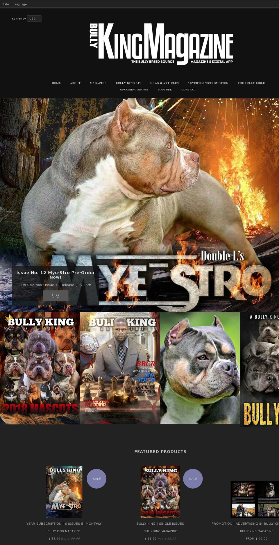 bullykingmagazine.com shopify website screenshot