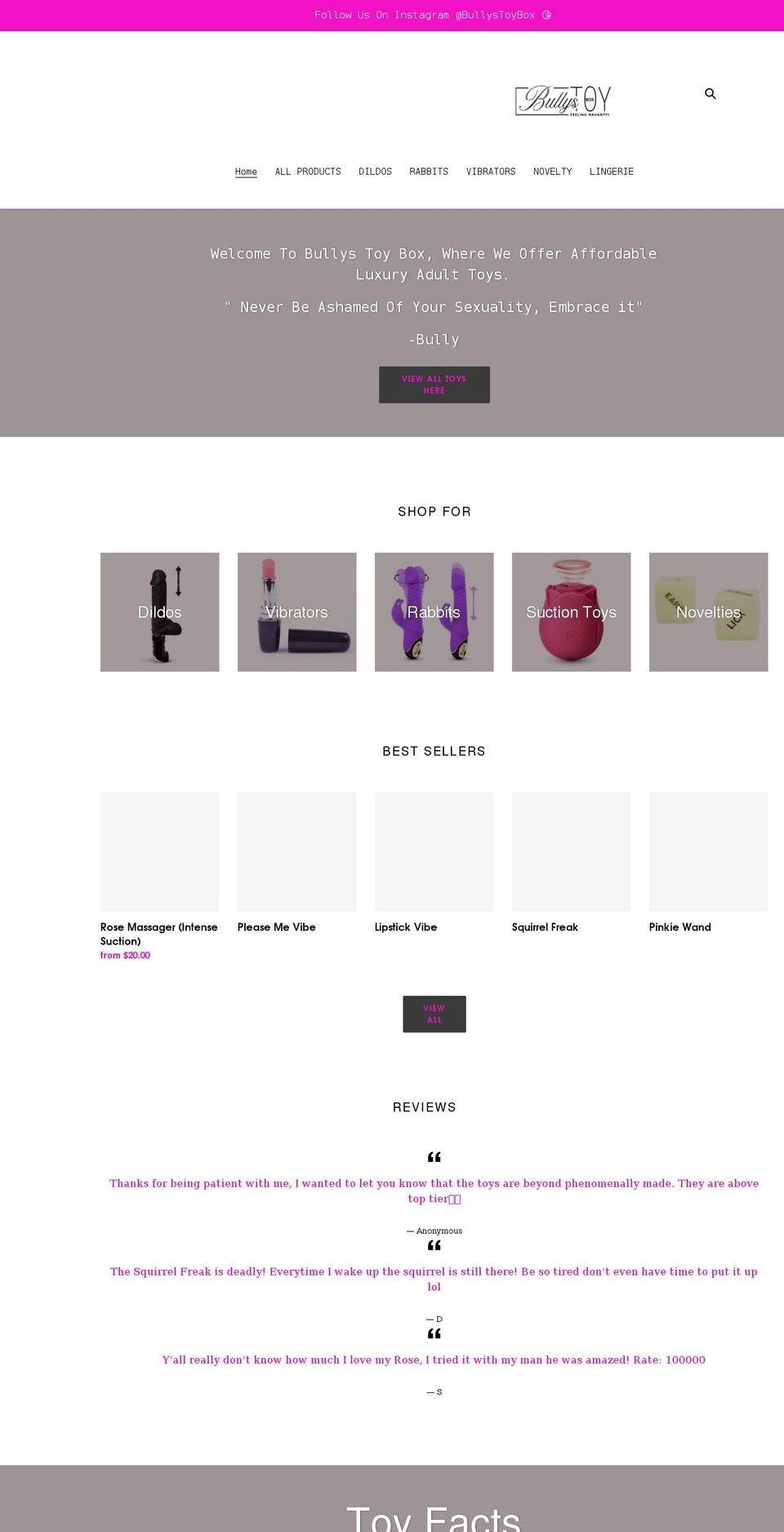 bullystoybox.com shopify website screenshot