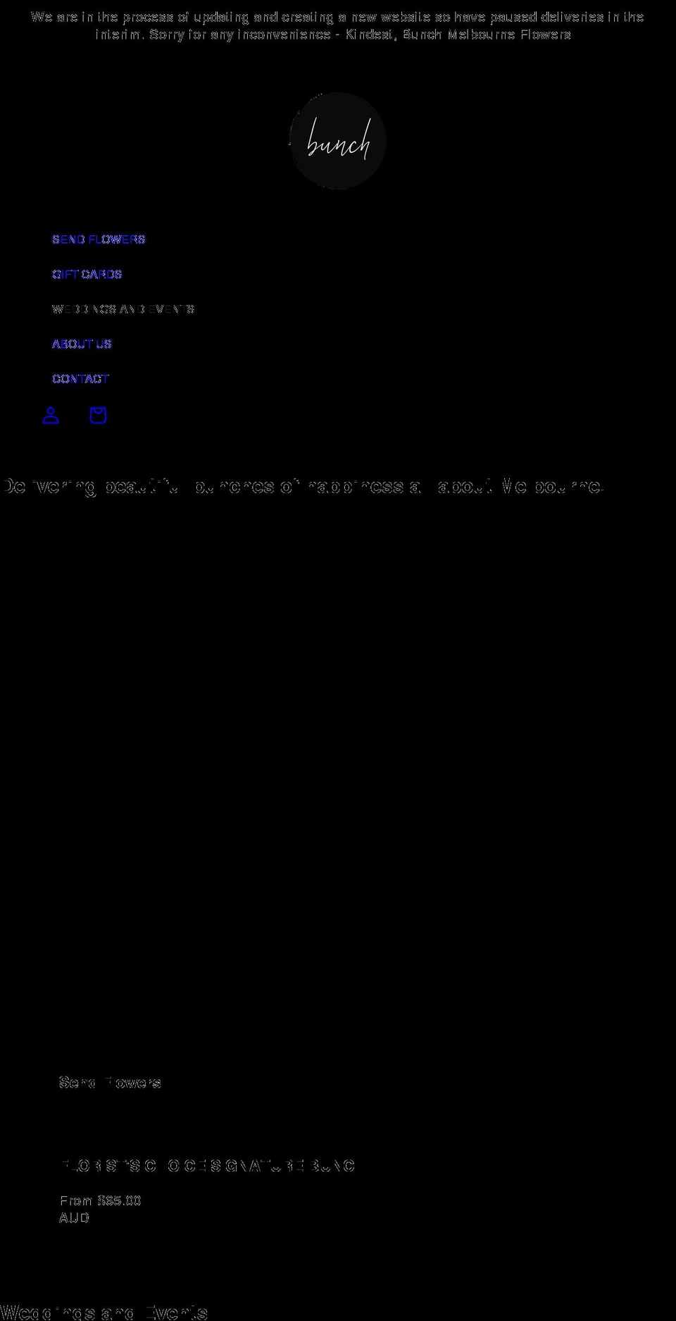 bunchabouttown.com.au shopify website screenshot