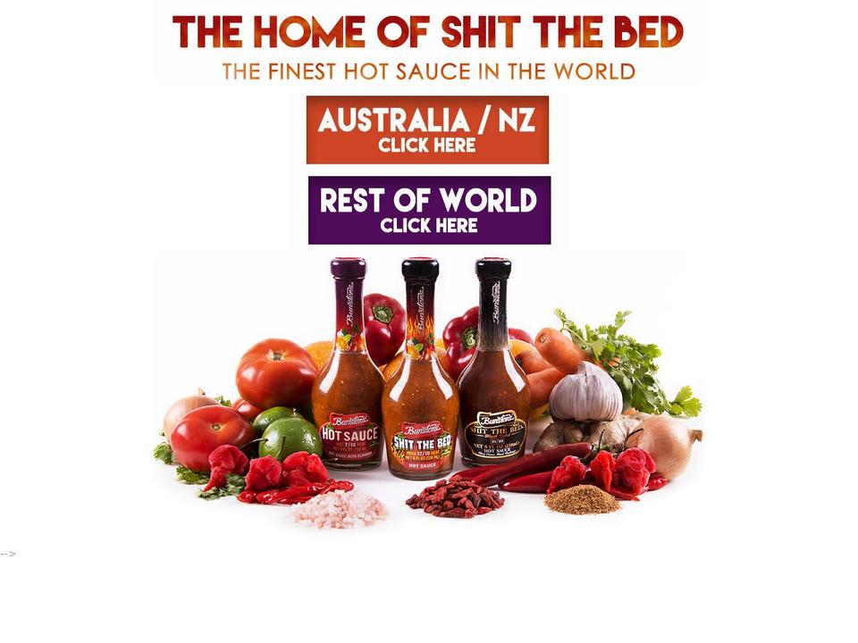 bunstersusa.myshopify.com shopify website screenshot