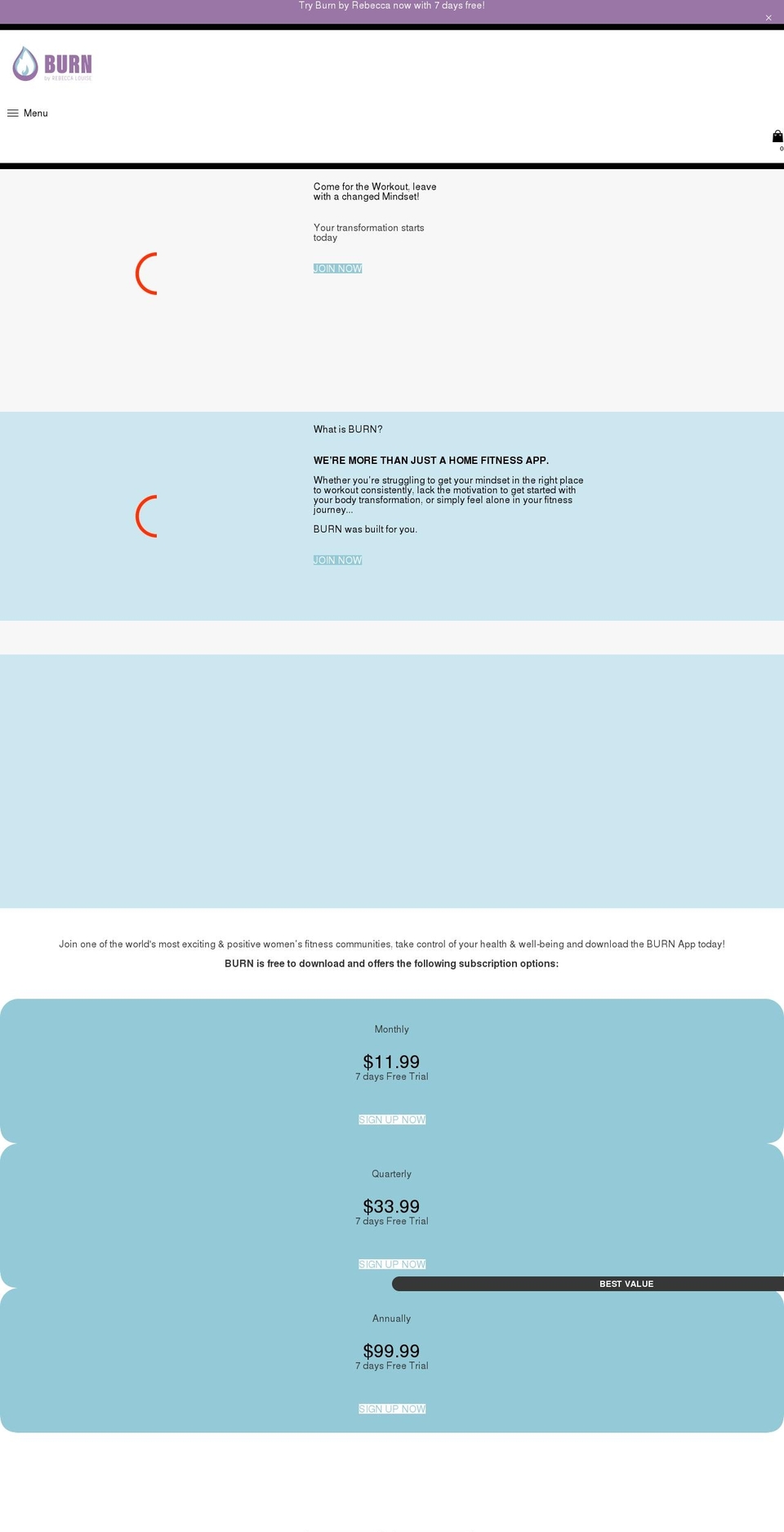 burnbyrebecca.com shopify website screenshot