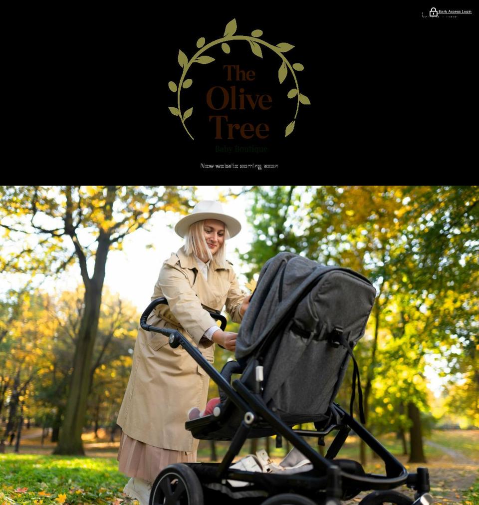 bushbabesbabystore.com shopify website screenshot