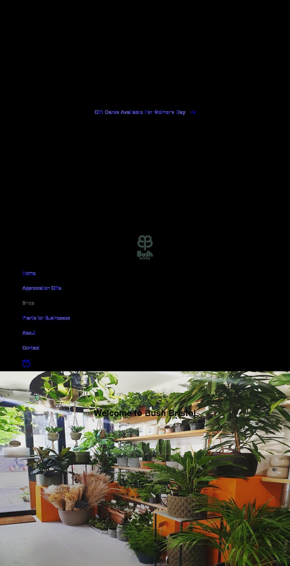 bushbristol.co.uk shopify website screenshot