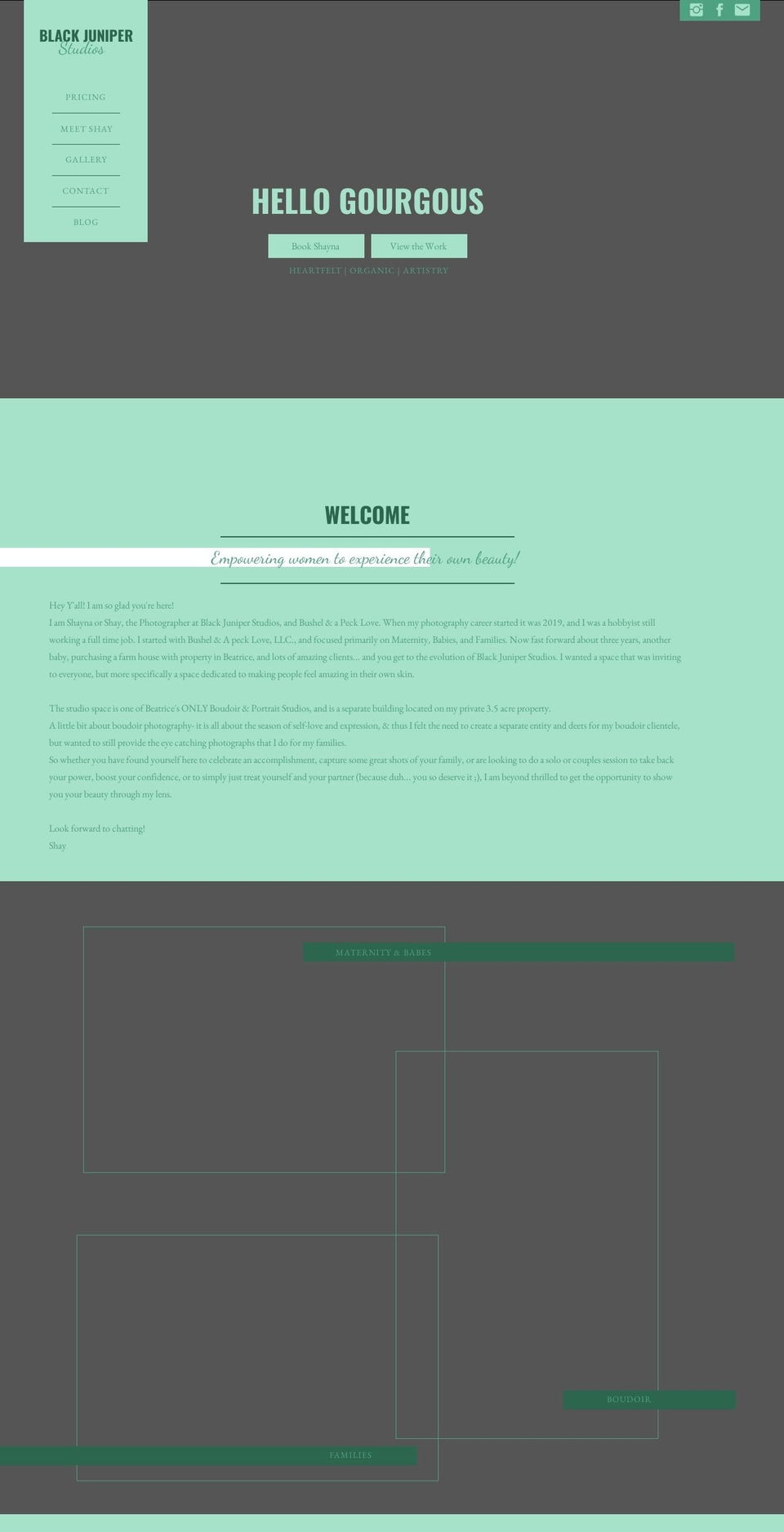 bushelpecklove.com — Shopify storefront screenshot