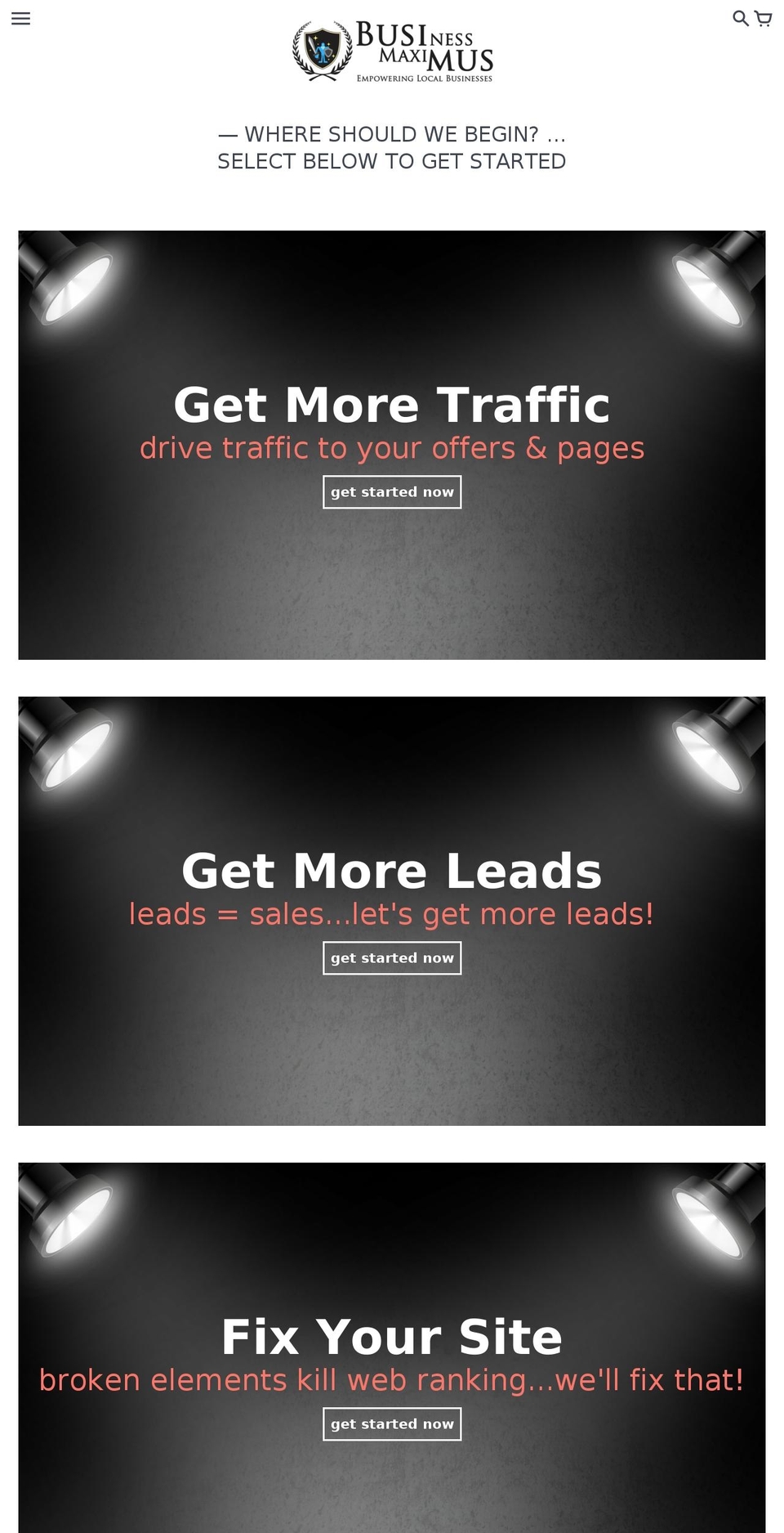businessmaximus.com — Shopify storefront screenshot