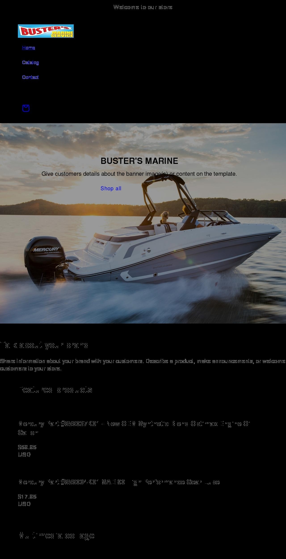 bustersmarine.net shopify website screenshot
