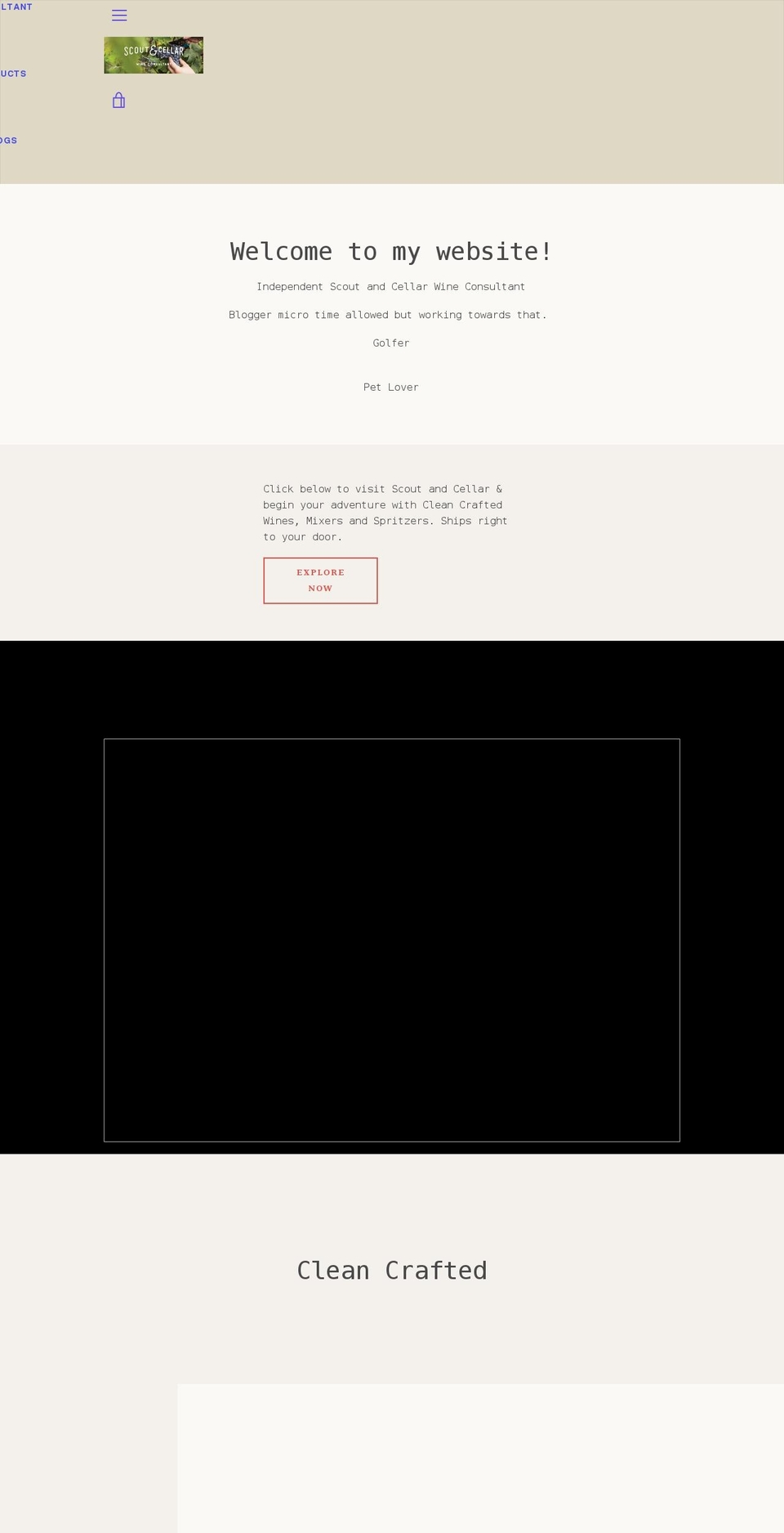 butterfliestodragonflies.com shopify website screenshot