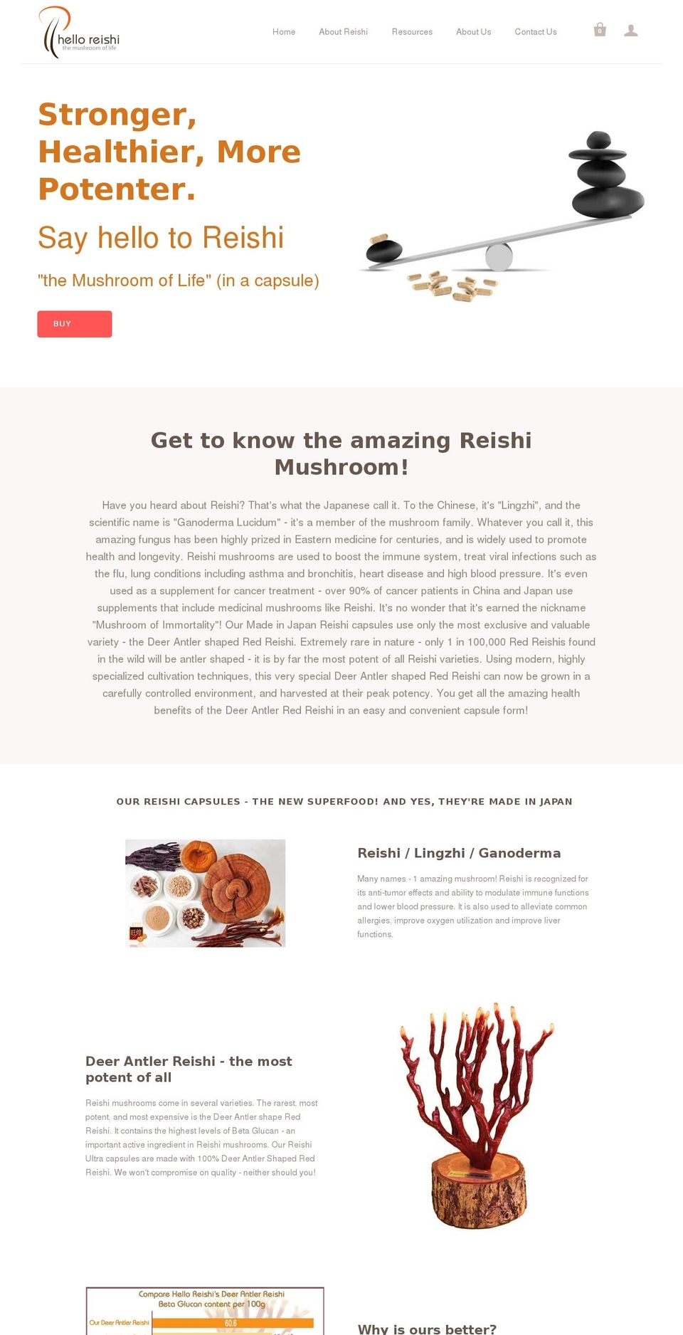 buyreishi.com shopify website screenshot