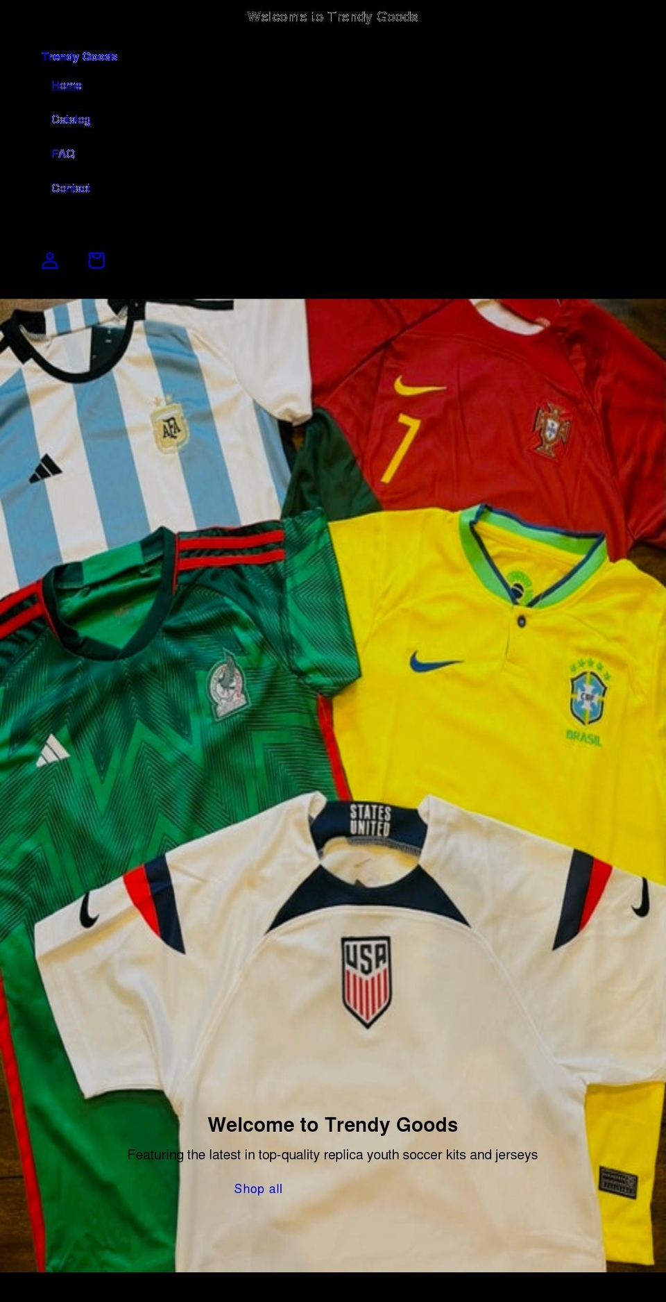 buytrendygoods.com shopify website screenshot