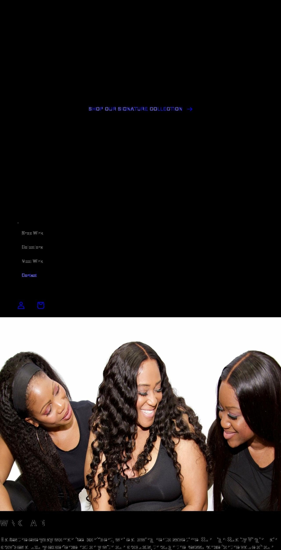 buywinkhair.com shopify website screenshot