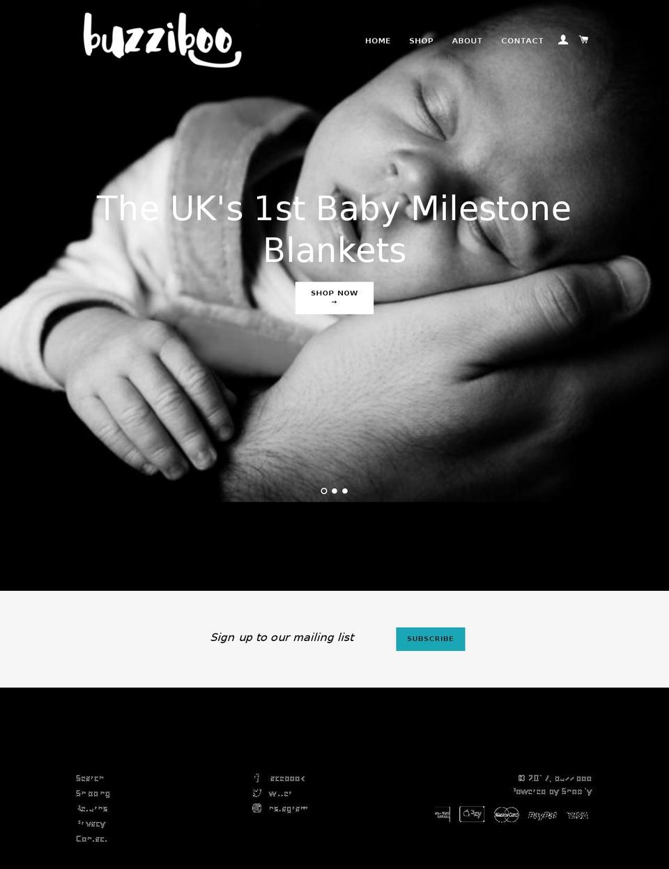 buzziboo.com shopify website screenshot