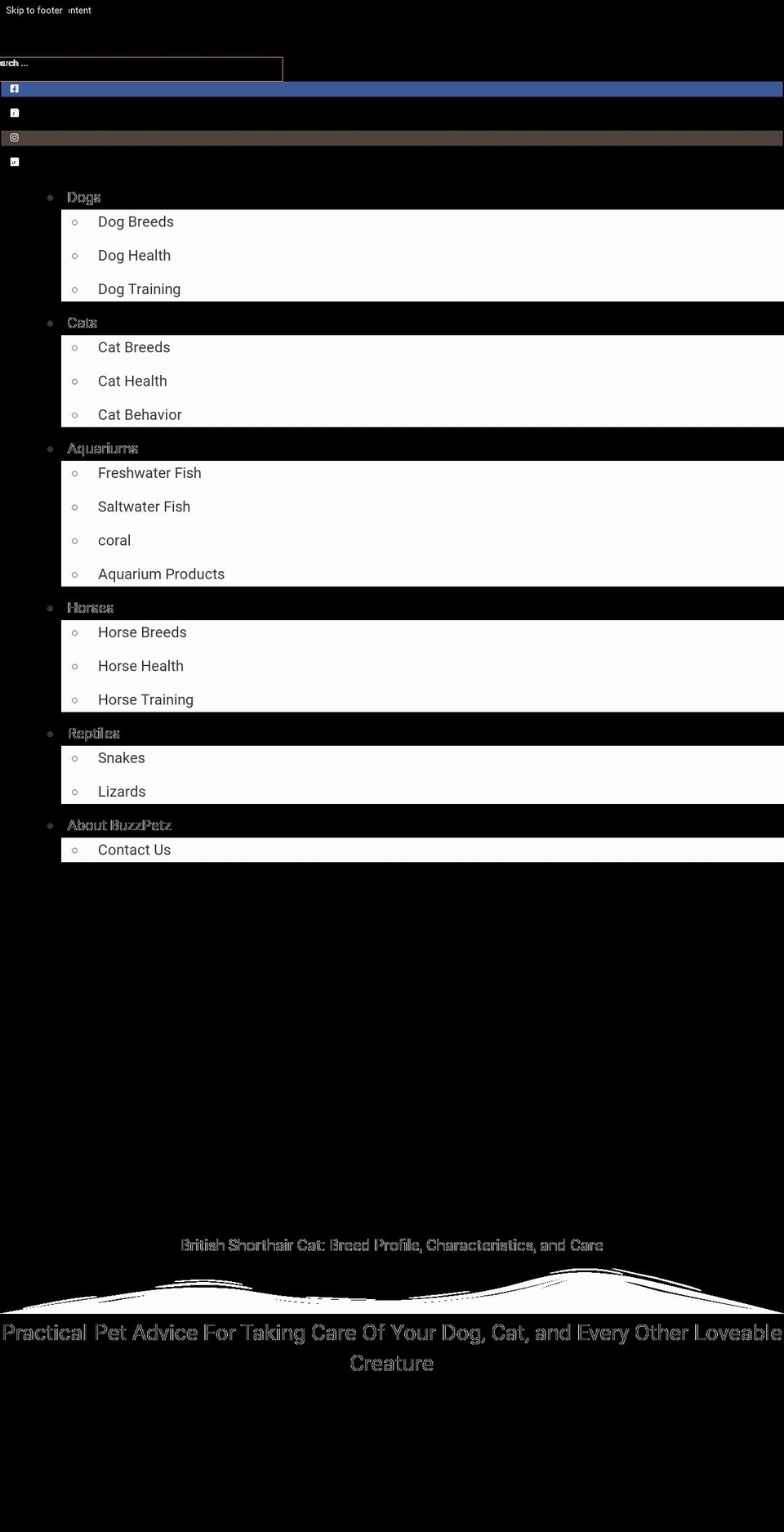 buzzpetz.com — Shopify storefront screenshot
