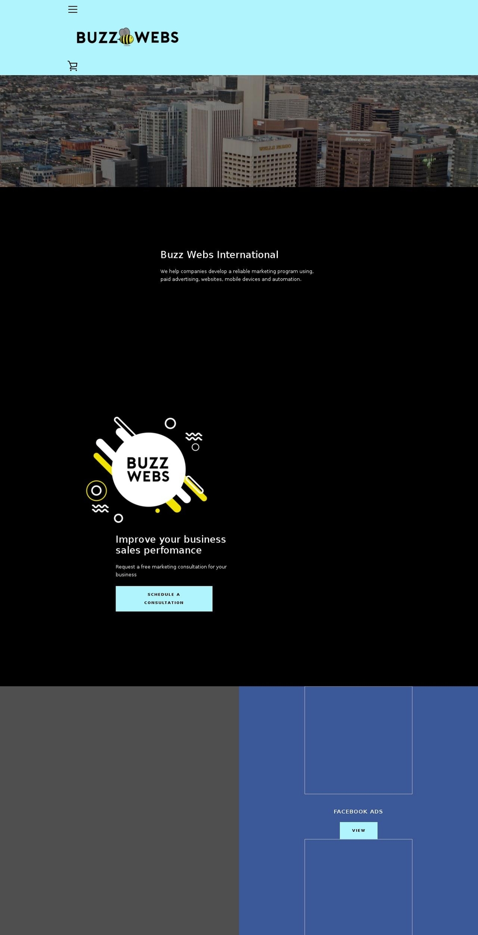 buzzwebs.net shopify website screenshot