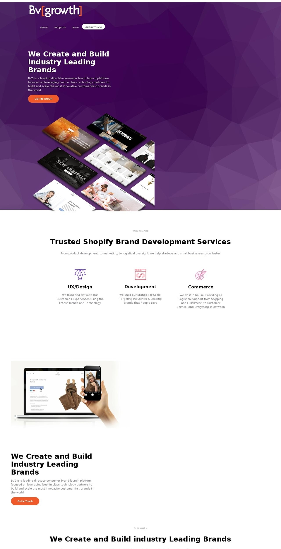 bvgrowth.com — Shopify storefront screenshot
