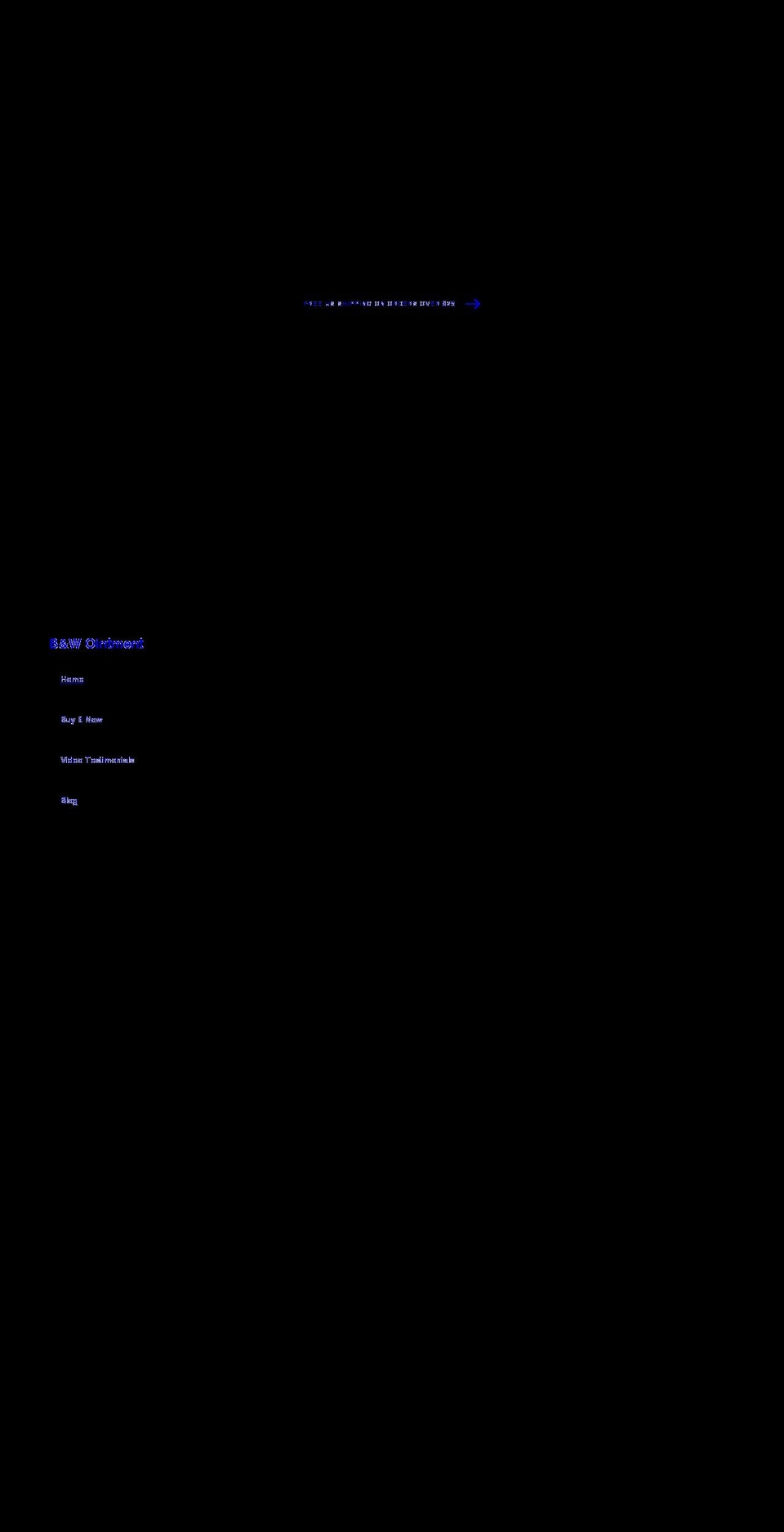 bwointment.com shopify website screenshot