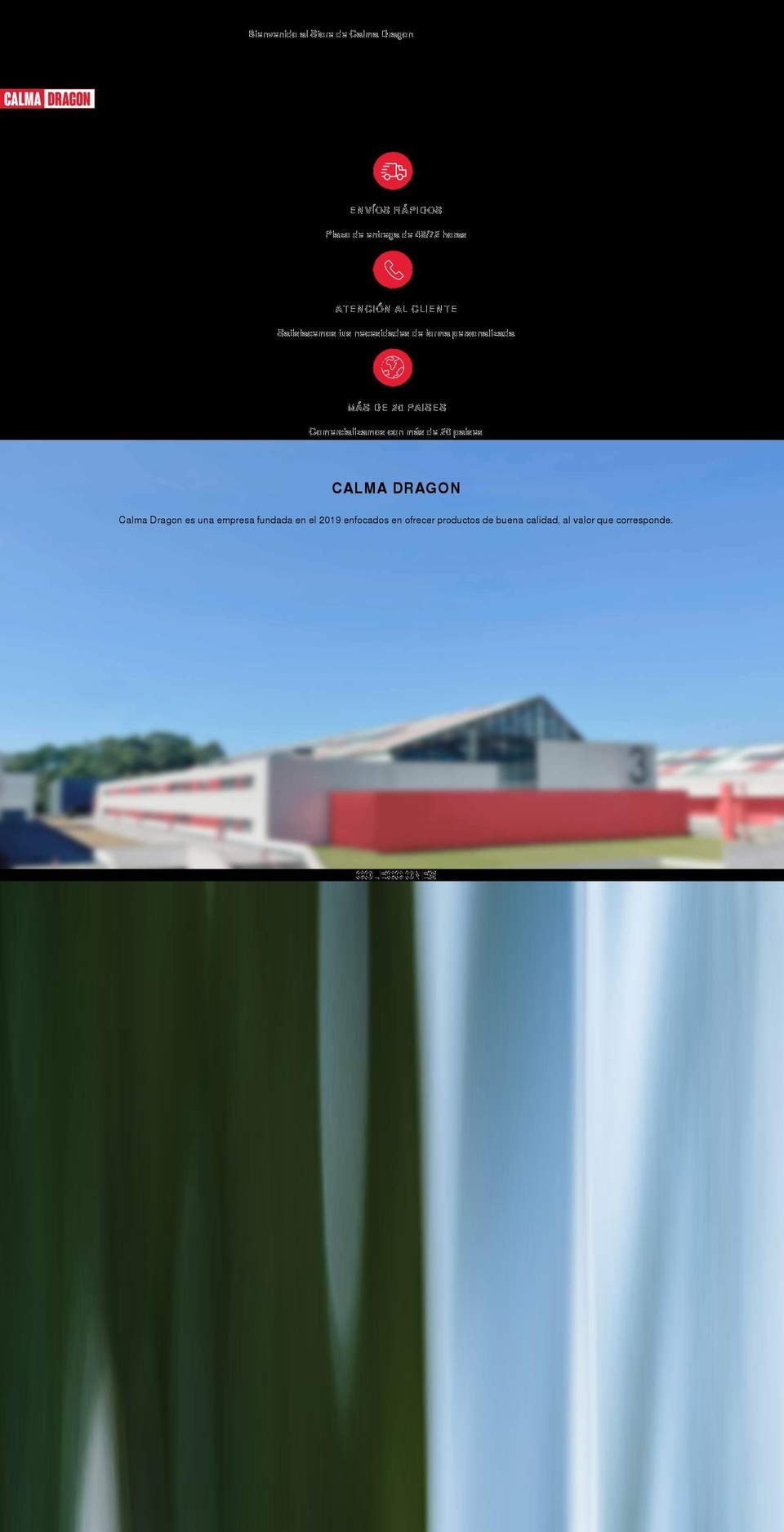 bwpmotorsports.com shopify website screenshot