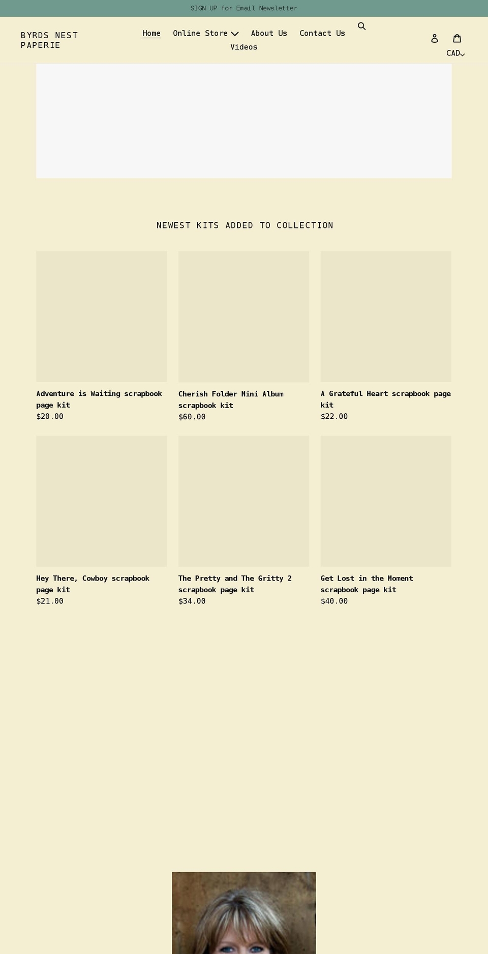 byrdsnestpaperie.com shopify website screenshot