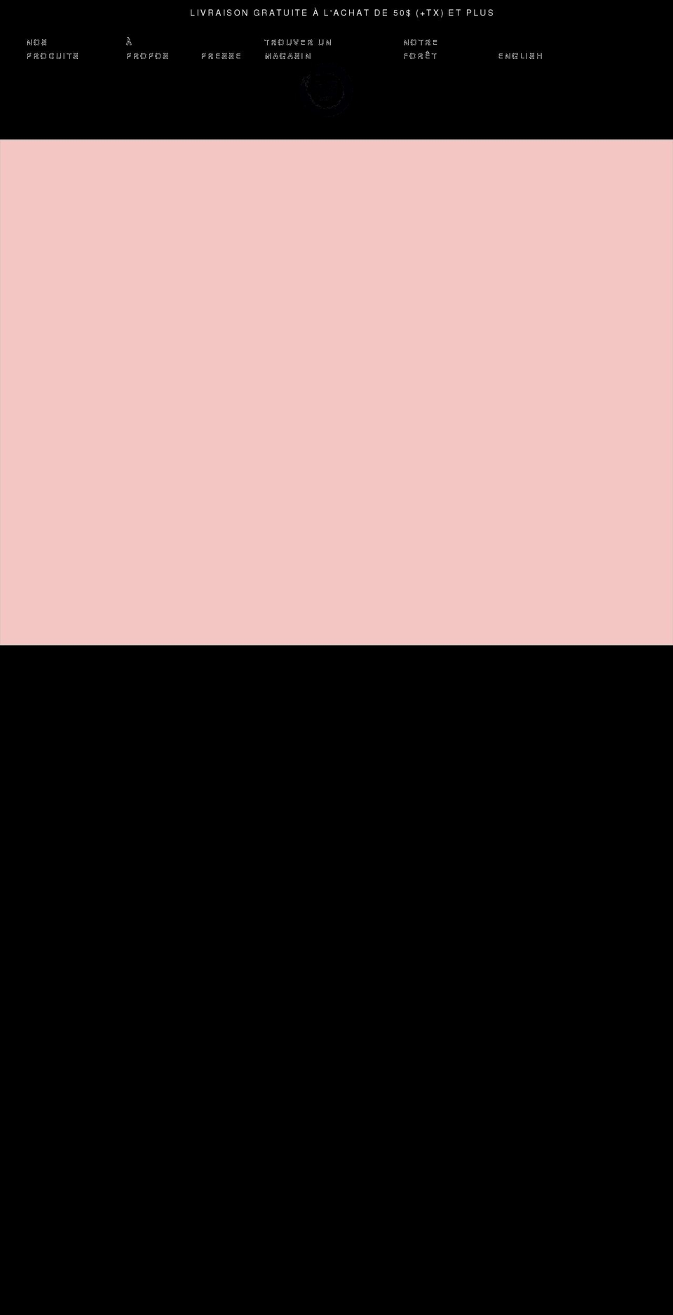 bz-lady.com shopify website screenshot