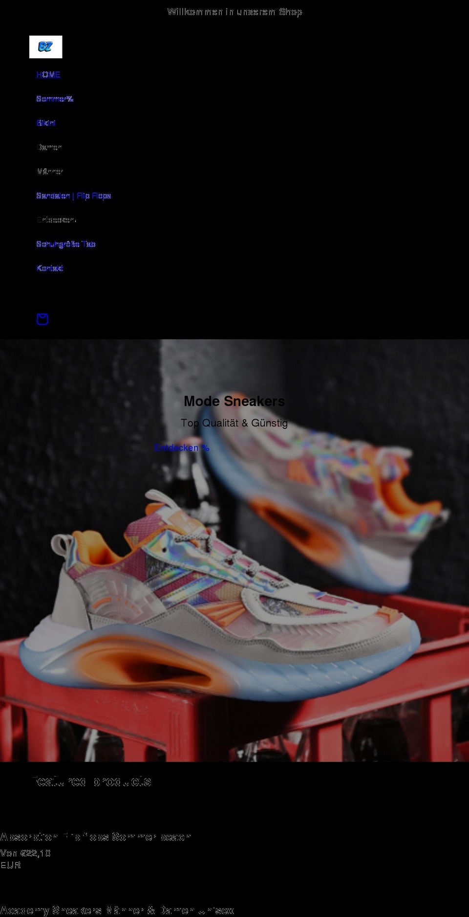 bzbstore.com shopify website screenshot