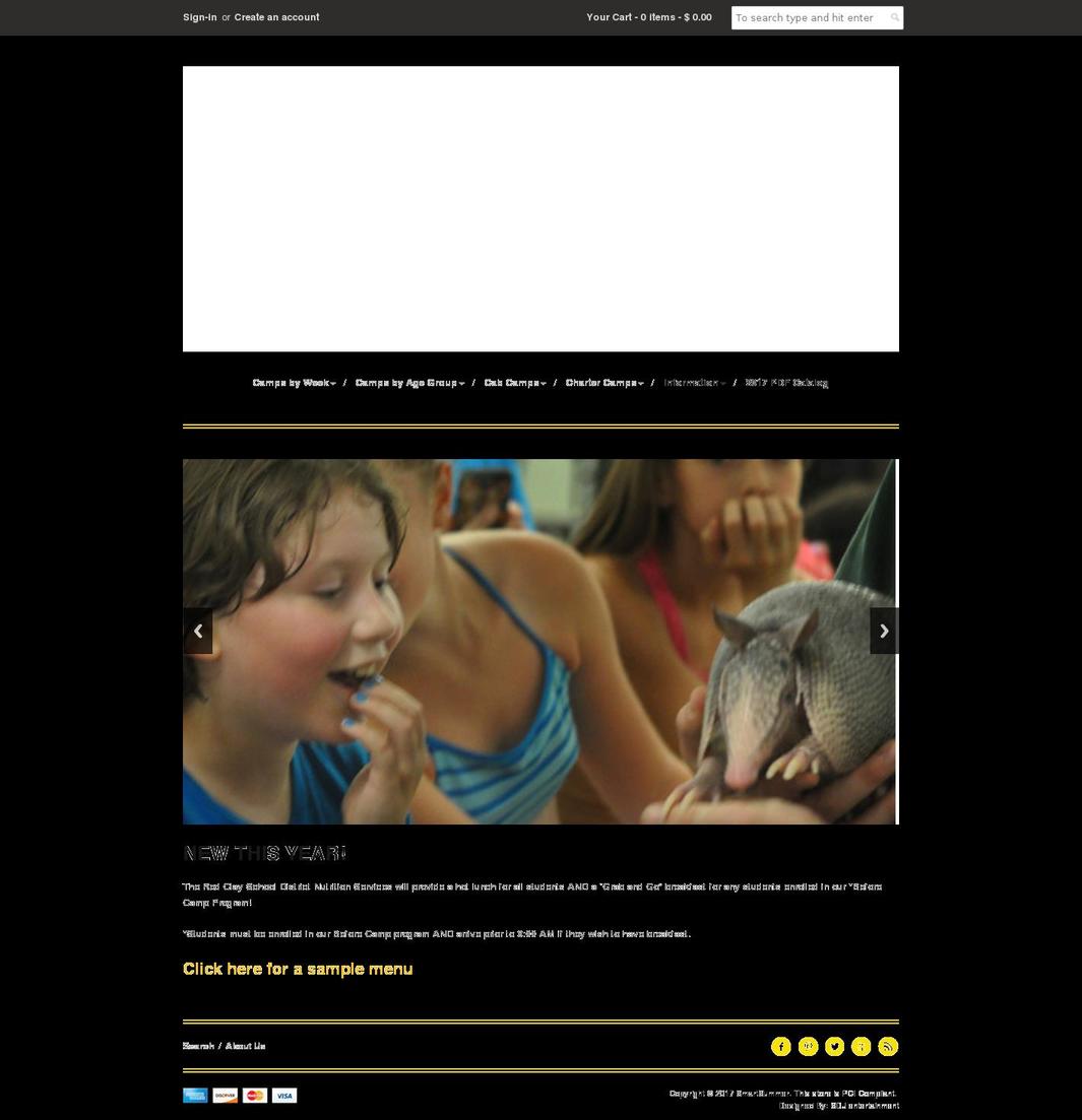 cabsummer.org shopify website screenshot
