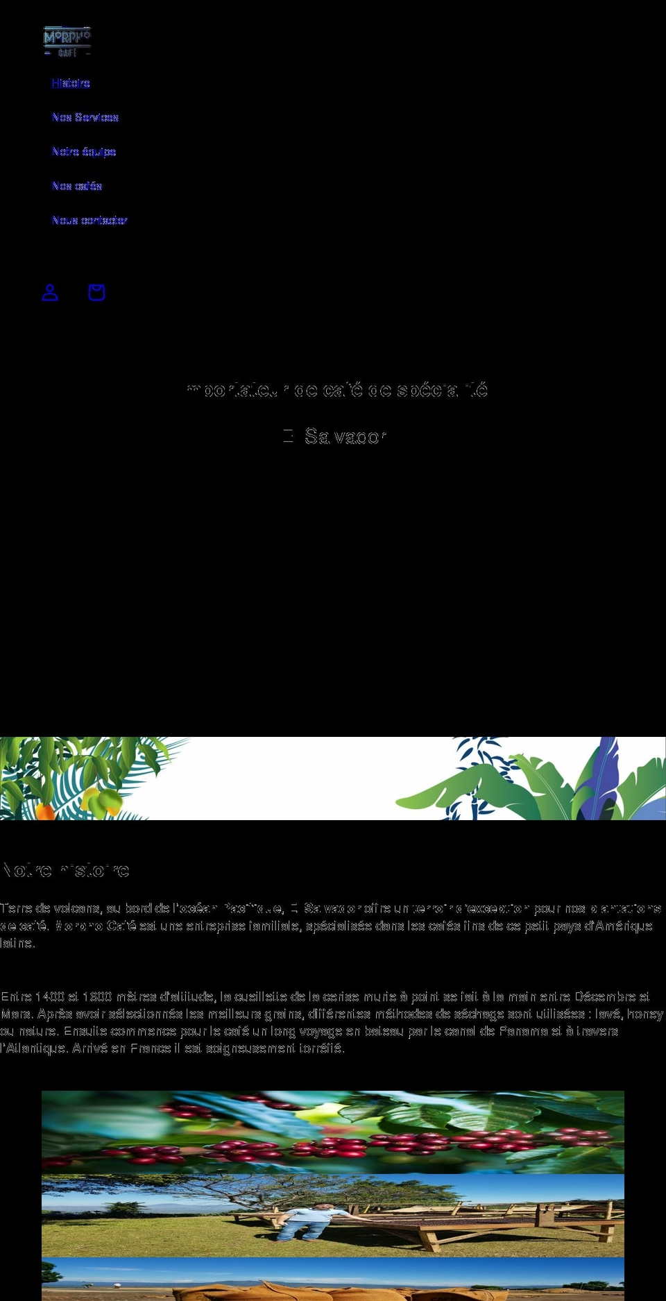cafemorpho.com shopify website screenshot