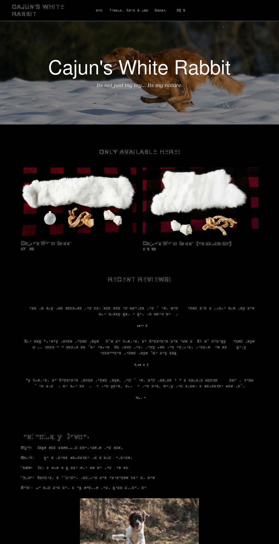cajunsrabbit.com shopify website screenshot