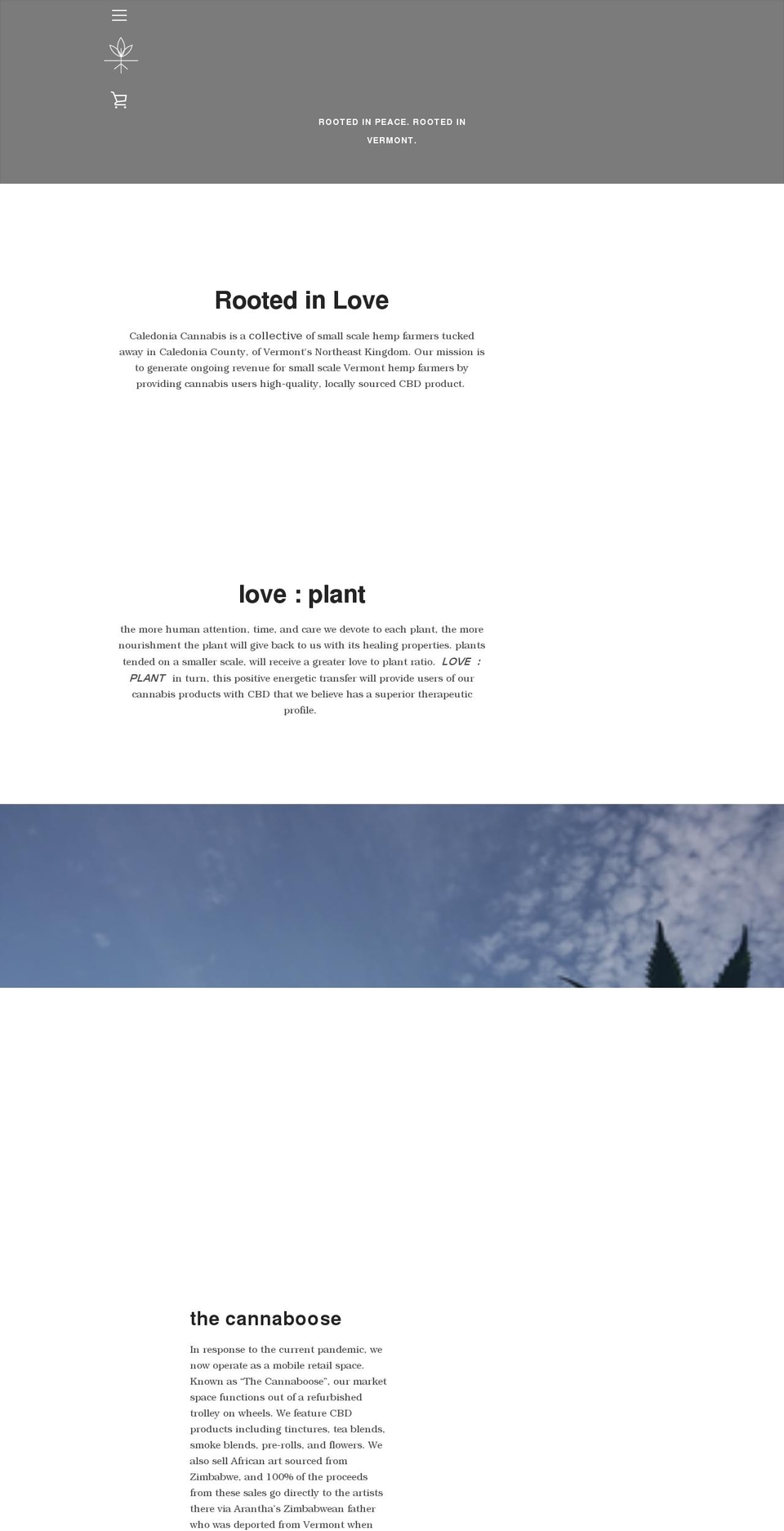 caledoniacannabis.com shopify website screenshot