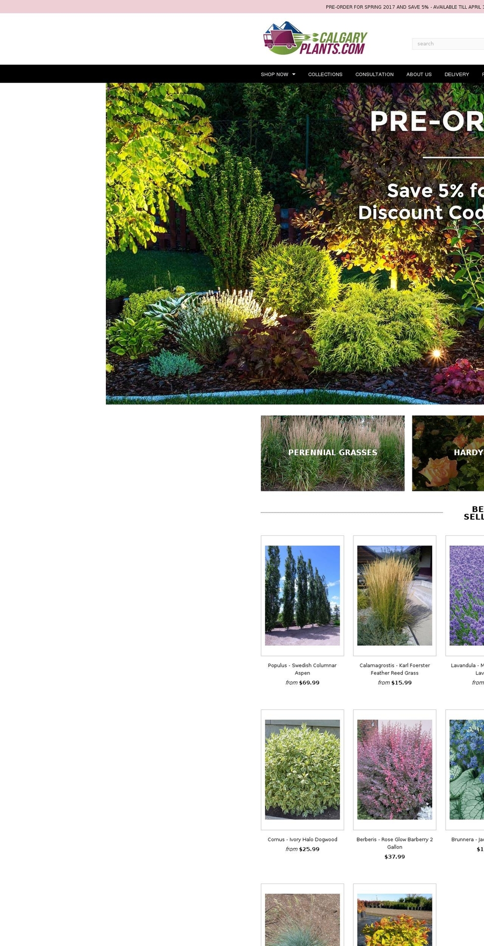 calgaryplants.ca shopify website screenshot